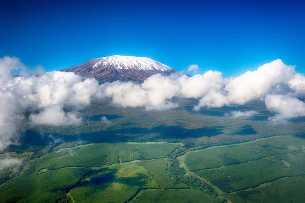 Mount Kilimanjaro Adventure